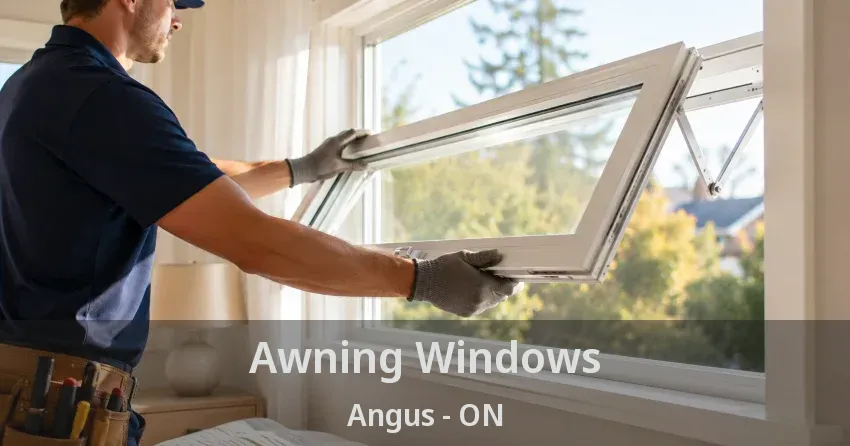 Awning Windows Angus - ON