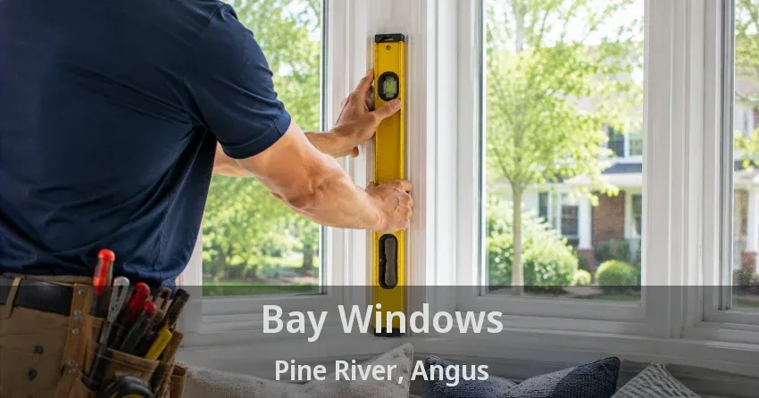 Bay Windows Pine River, Angus - ON