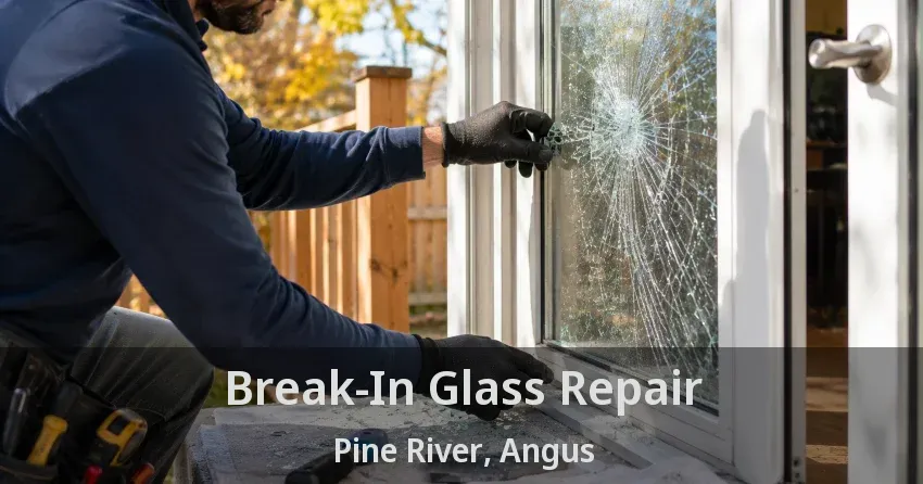 Break-In Glass Repair Pine River, Angus - ON