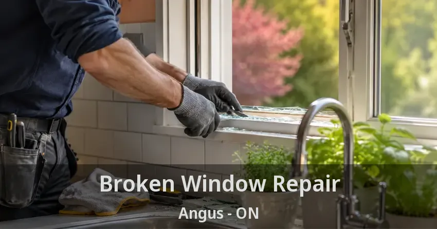 Broken Window Repair Angus - ON