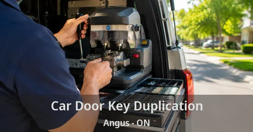 Car Door Key Duplication Angus - ON