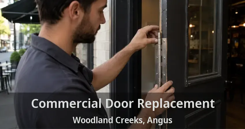 Commercial Door Replacement Woodland Creeks, Angus - ON