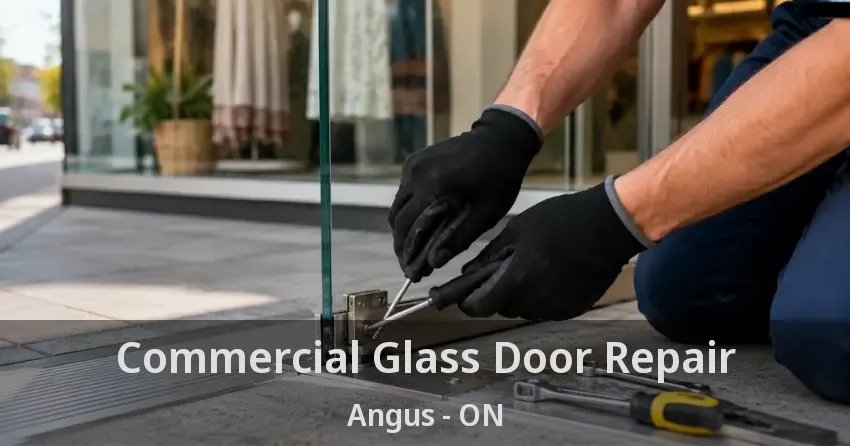 Commercial Glass Door Repair Angus - ON