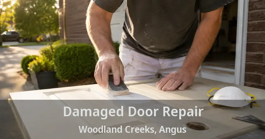 Damaged Door Repair Woodland Creeks, Angus - ON