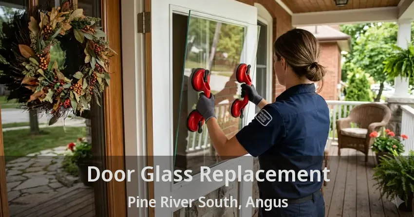 Door Glass Replacement Pine River South, Angus - ON