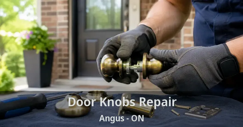 Door Knobs Repair Angus - ON