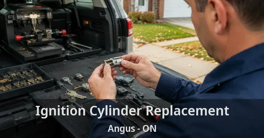 Ignition Cylinder Replacement Angus - ON