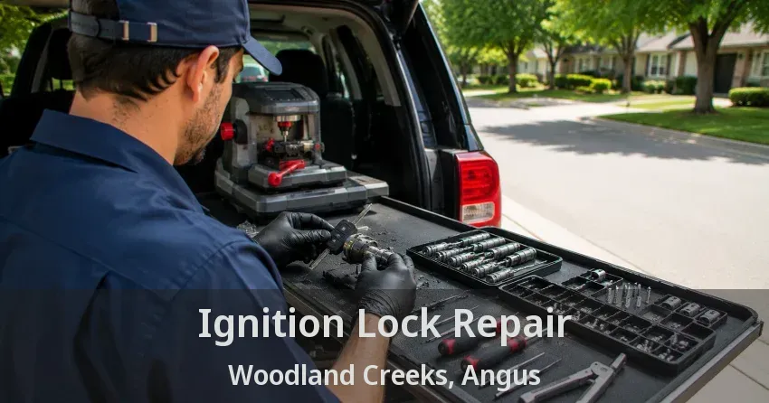 Ignition Lock Repair Woodland Creeks, Angus - ON
