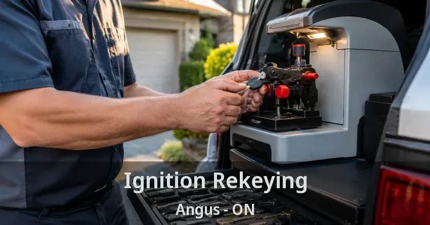 Ignition Rekeying Angus - ON