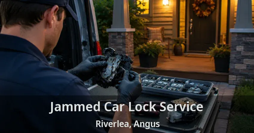 Jammed Car Lock Service Riverlea, Angus - ON