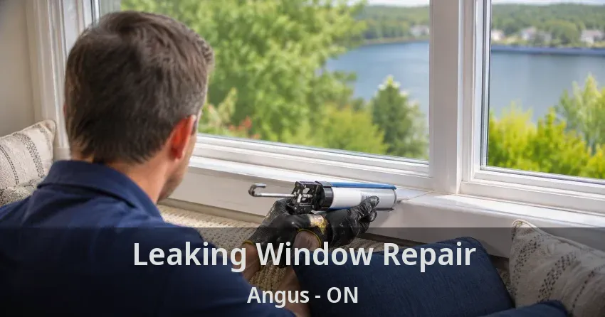 Leaking Window Repair Angus - ON