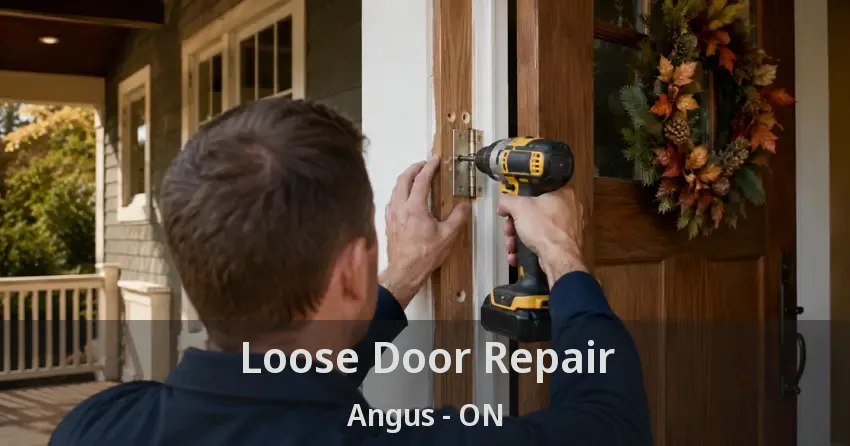 Loose Door Repair Angus - ON