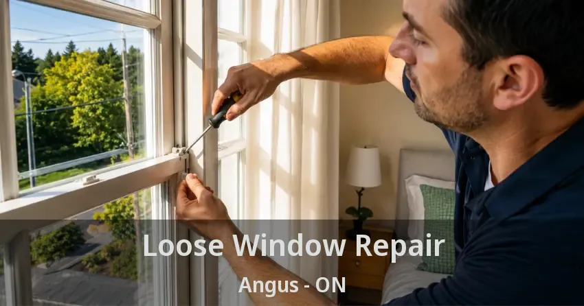 Loose Window Repair Angus - ON