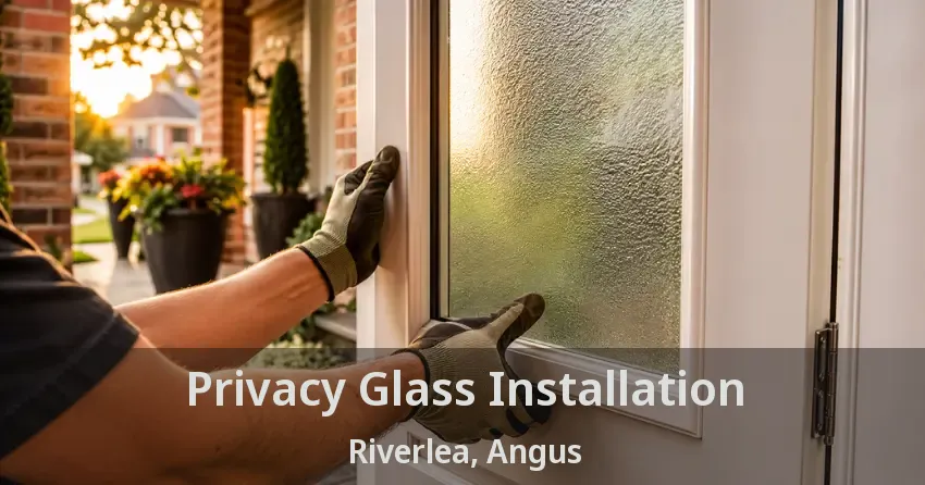 Privacy Glass Installation Riverlea, Angus - ON