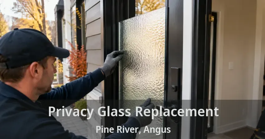 Privacy Glass Replacement Pine River, Angus - ON