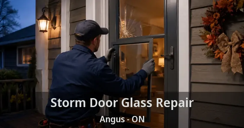 Storm Door Glass Repair Angus - ON