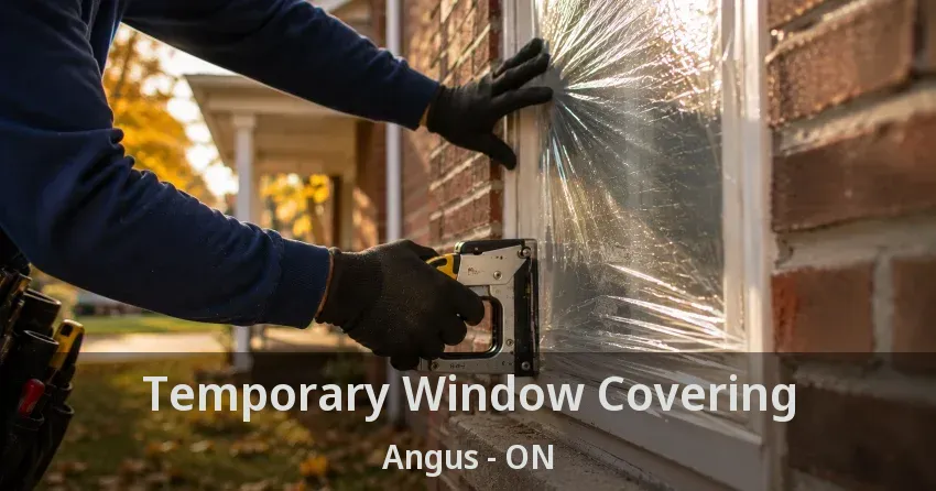 Temporary Window Covering Angus - ON