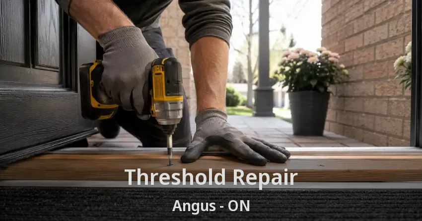 Threshold Repair Angus - ON