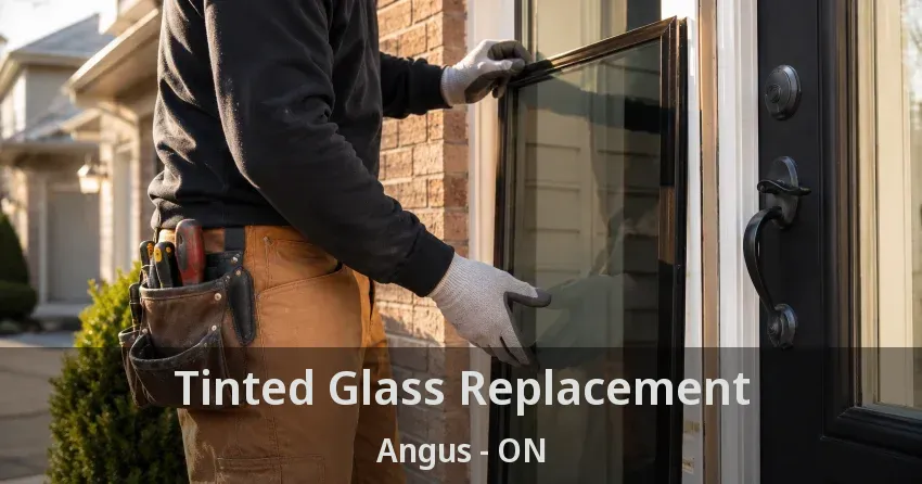 Tinted Glass Replacement Angus - ON