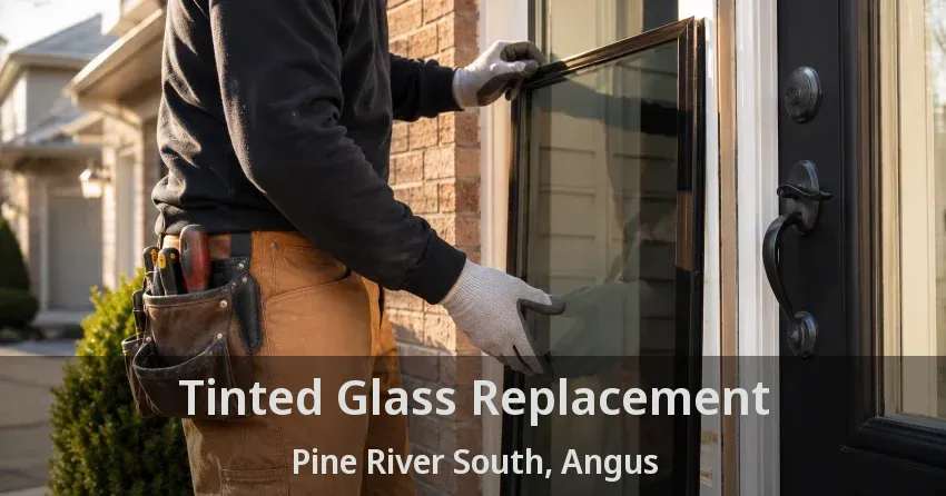 Tinted Glass Replacement Pine River South, Angus - ON