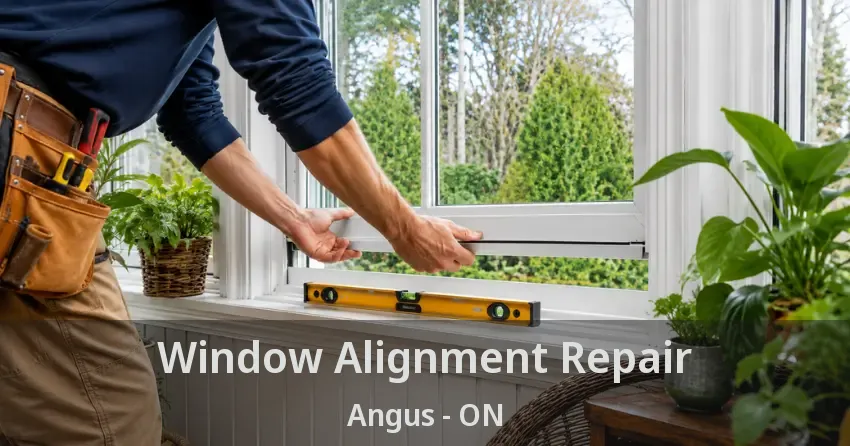 Window Alignment Repair Angus - ON