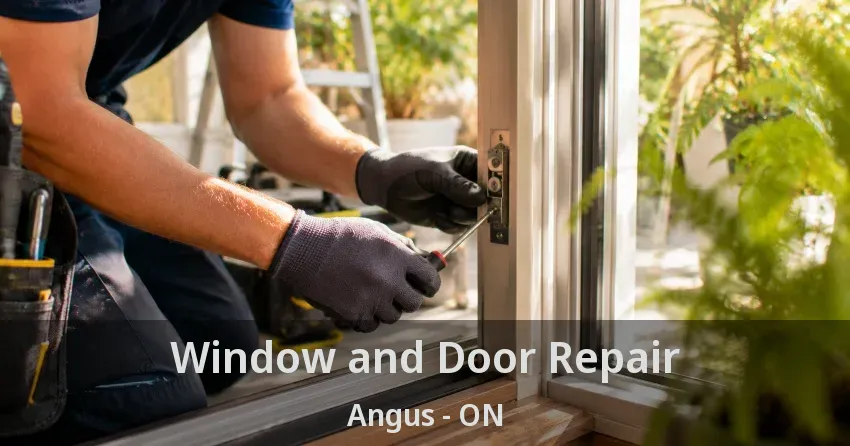 Window and Door Repair Angus - ON