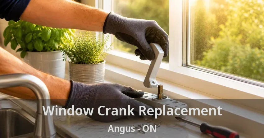 Window Crank Replacement Angus - ON