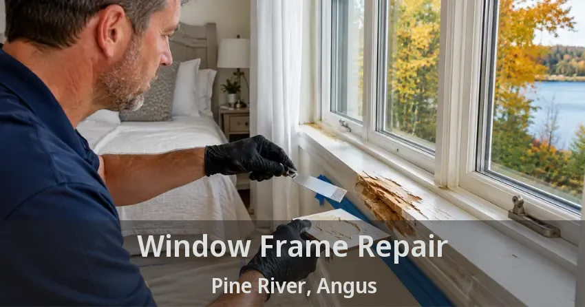 Window Frame Repair Pine River, Angus - ON