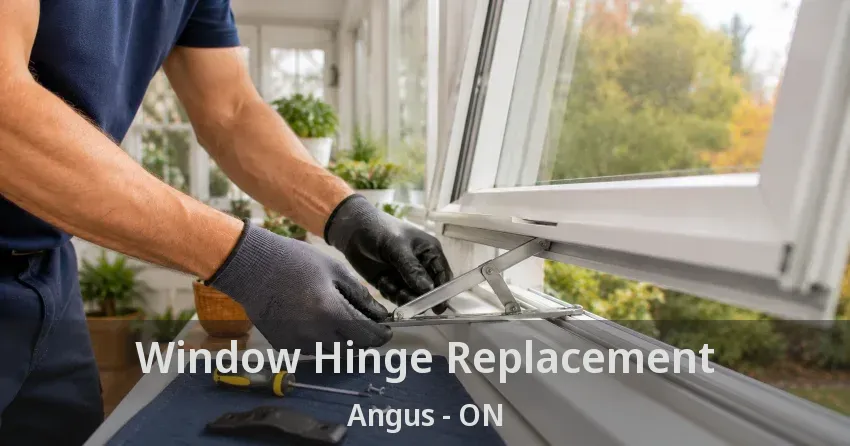 Window Hinge Replacement Angus - ON