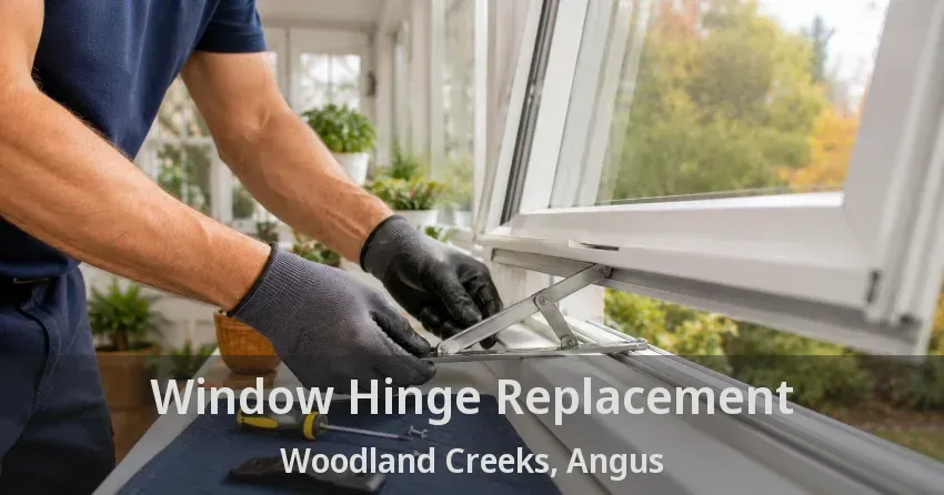 Window Hinge Replacement Woodland Creeks, Angus - ON