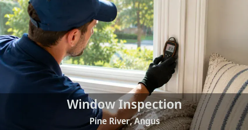 Window Inspection Pine River, Angus - ON