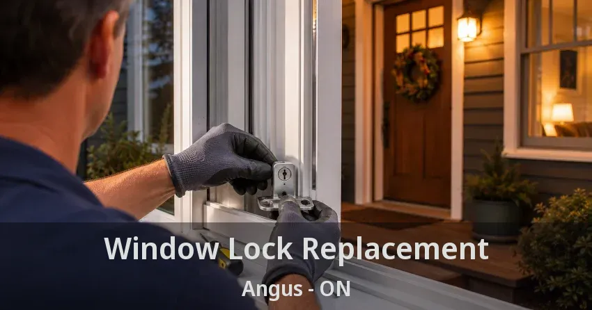 Window Lock Replacement Angus - ON