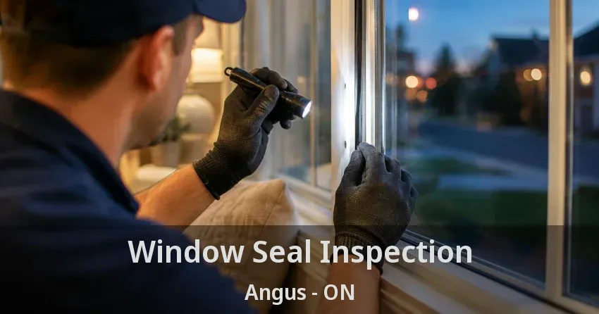 Window Seal Inspection Angus - ON