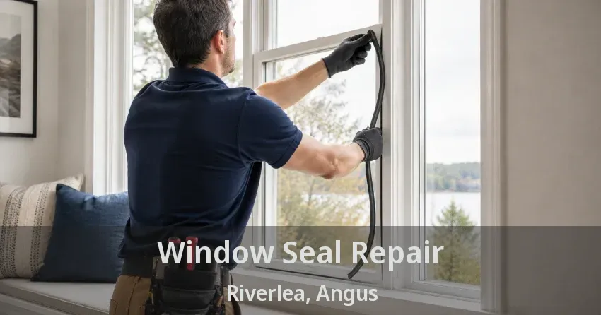 Window Seal Repair Riverlea, Angus - ON
